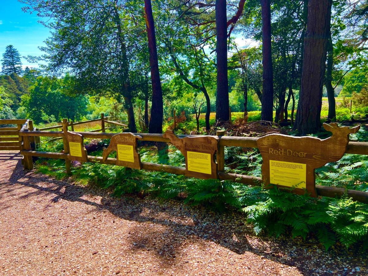 Forest Haven Sway Exterior foto